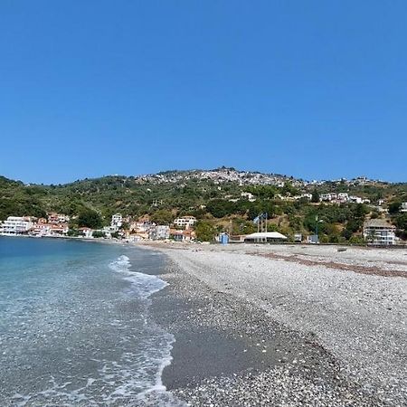 Mirsinia Apartments - Skopelos 罗查基恩 外观 照片