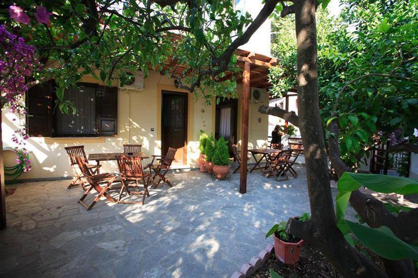 Mirsinia Apartments - Skopelos 罗查基恩 外观 照片